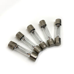 Fuse Type 8volt 250mA Lamps